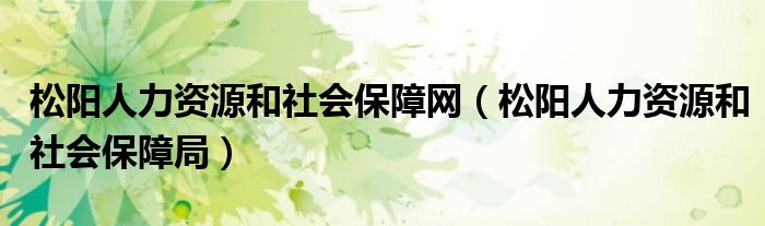 松阳人力资源和社会保障网（松阳人力资源和社会保障局）