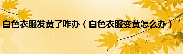 白色衣服发黄了咋办（白色衣服变黄怎么办）