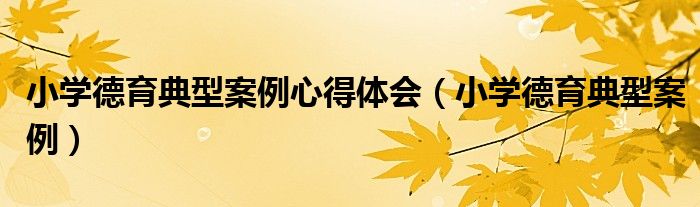 小学德育典型案例心得体会（小学德育典型案例）