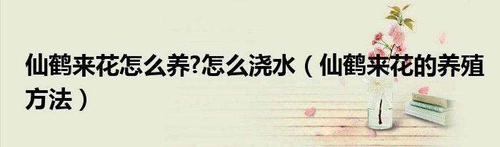 仙鹤来花怎么养?怎么浇水（仙鹤来花的养殖方法）