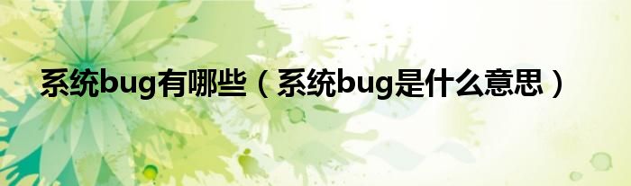 系统bug有哪些（系统bug是什么意思）