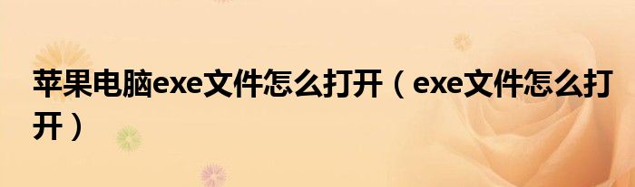 苹果电脑exe文件怎么打开（exe文件怎么打开）