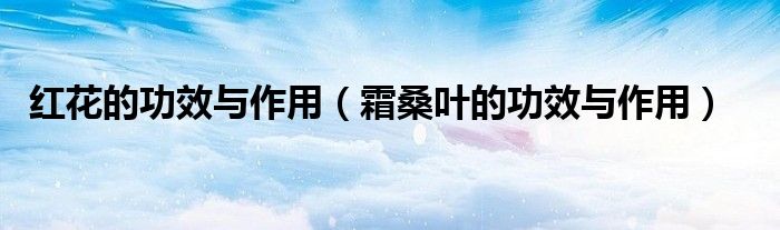 红花的功效与作用（霜桑叶的功效与作用）
