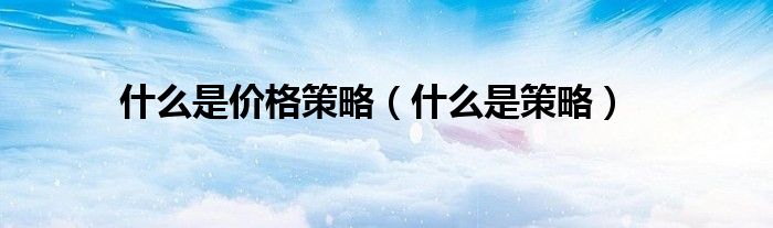 什么是价格策略（什么是策略）