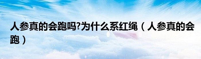 人参真的会跑吗?为什么系红绳（人参真的会跑）