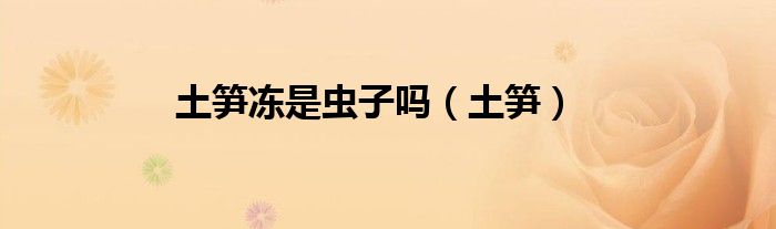 土笋冻是虫子吗（土笋）
