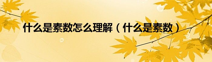 什么是素数怎么理解（什么是素数）
