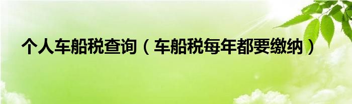 个人车船税查询（车船税每年都要缴纳）