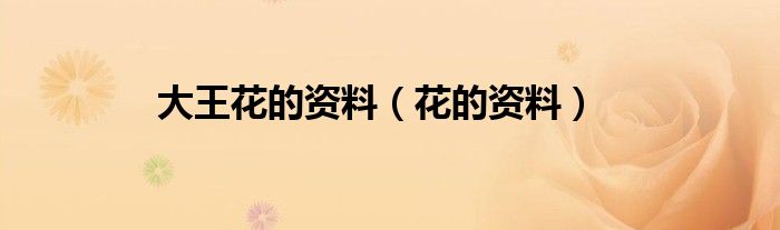 大王花的资料（花的资料）