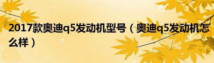 2017款奥迪q5发动机型号（奥迪q5发动机怎么样）