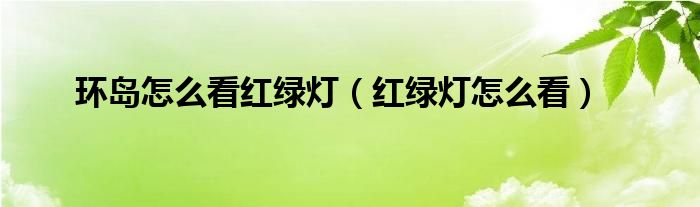 环岛怎么看红绿灯（红绿灯怎么看）