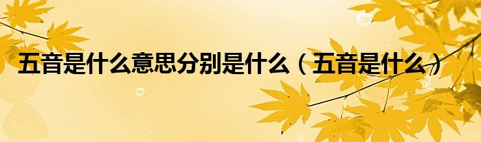 五音是什么意思分别是什么（五音是什么）