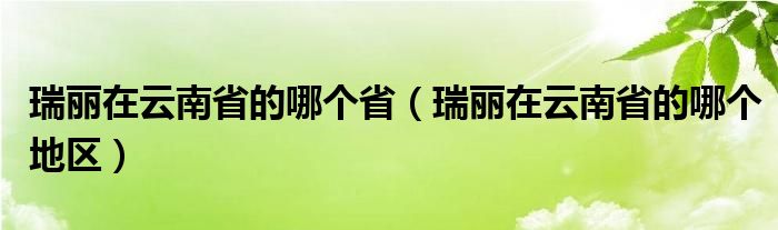 瑞丽在云南省的哪个省（瑞丽在云南省的哪个地区）