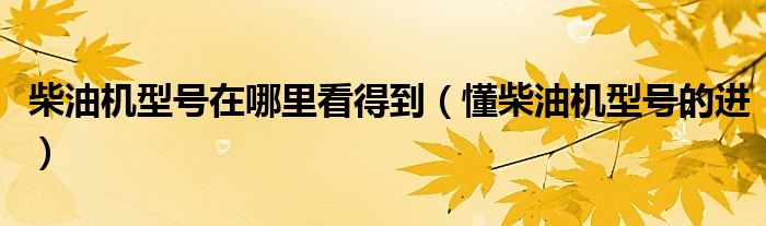 柴油机型号在哪里看得到（懂柴油机型号的进）