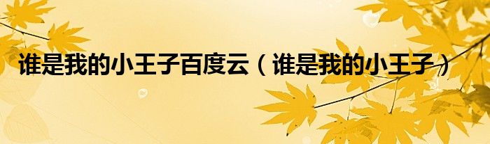 谁是我的小王子百度云（谁是我的小王子）