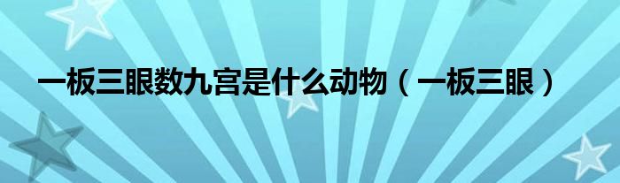 一板三眼数九宫是什么动物（一板三眼）