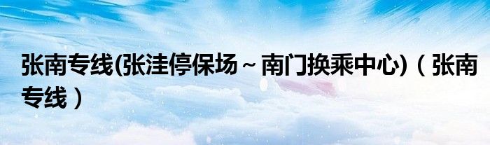 张南专线(张洼停保场～南门换乘中心)（张南专线）