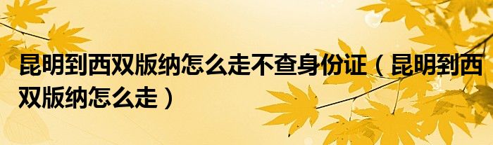 昆明到西双版纳怎么走不查身份证（昆明到西双版纳怎么走）