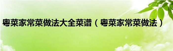 粤菜家常菜做法大全菜谱（粤菜家常菜做法）
