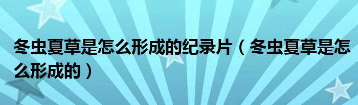 冬虫夏草是怎么形成的纪录片（冬虫夏草是怎么形成的）
