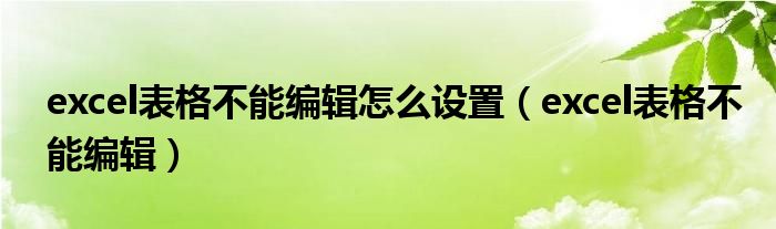 excel表格不能编辑怎么设置（excel表格不能编辑）