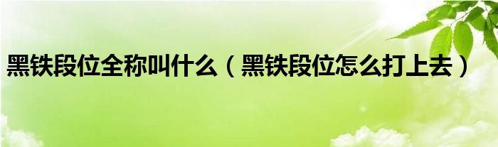 黑铁段位全称叫什么（黑铁段位怎么打上去）