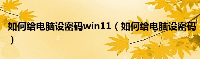 如何给电脑设密码win11（如何给电脑设密码）