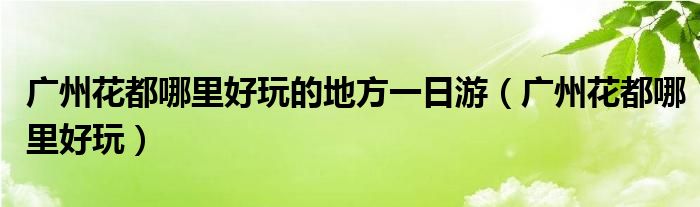 广州花都哪里好玩的地方一日游（广州花都哪里好玩）