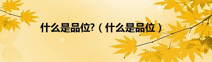 什么是品位?（什么是品位）