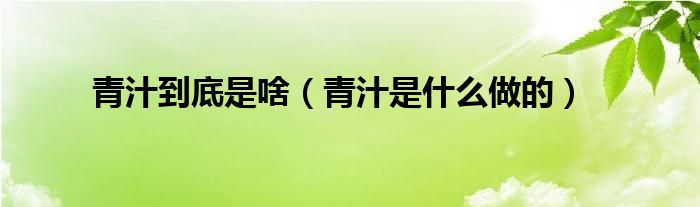 青汁到底是啥（青汁是什么做的）