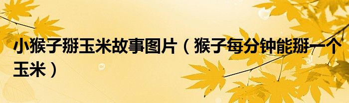 小猴子掰玉米故事图片（猴子每分钟能掰一个玉米）
