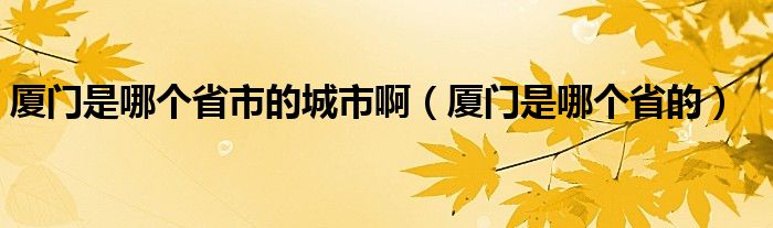 厦门是哪个省市的城市啊（厦门是哪个省的）