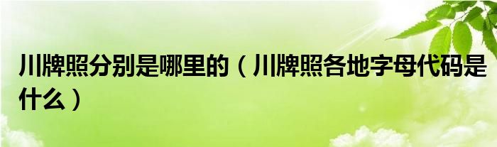 川牌照分别是哪里的（川牌照各地字母代码是什么）