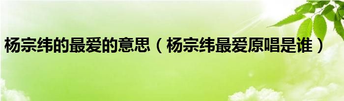 杨宗纬的最爱的意思（杨宗纬最爱原唱是谁）