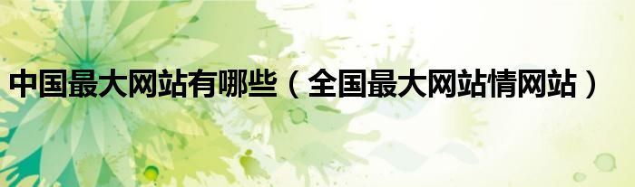 中国最大网站有哪些（全国最大网站情网站）