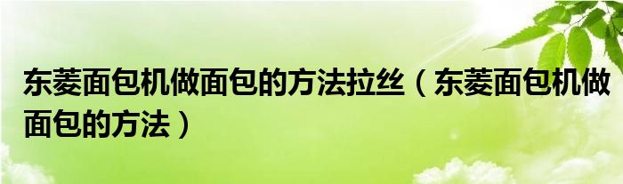东菱面包机做面包的方法拉丝（东菱面包机做面包的方法）