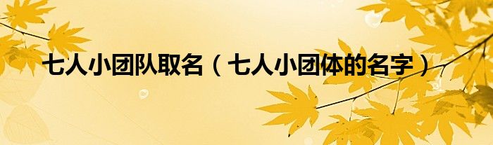 七人小团队取名（七人小团体的名字）