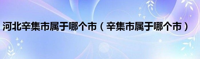 河北辛集市属于哪个市（辛集市属于哪个市）