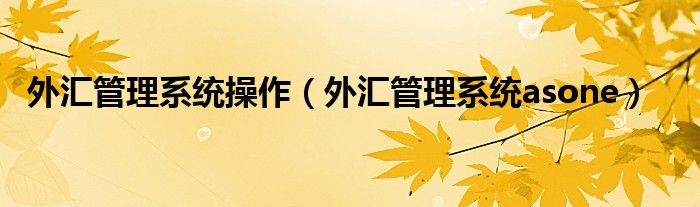 外汇管理系统操作（外汇管理系统asone）