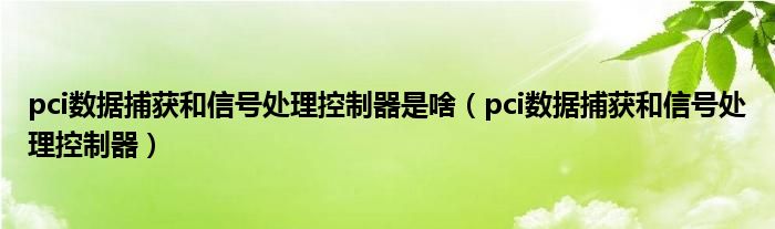 pci数据捕获和信号处理控制器是啥（pci数据捕获和信号处理控制器）