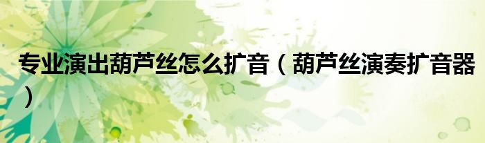 专业演出葫芦丝怎么扩音（葫芦丝演奏扩音器）