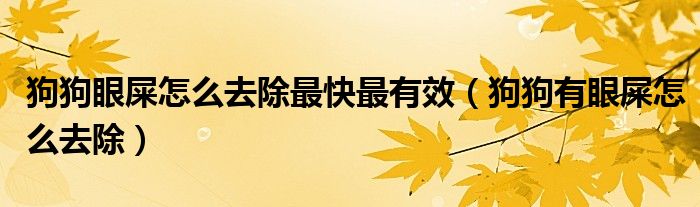 狗狗眼屎怎么去除最快最有效（狗狗有眼屎怎么去除）