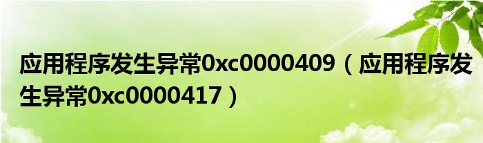 应用程序发生异常0xc0000409（应用程序发生异常0xc0000417）