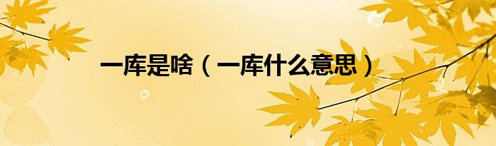 一库是啥（一库什么意思）