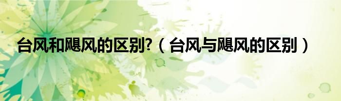 台风和飓风的区别?（台风与飓风的区别）