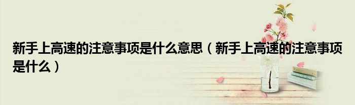 新手上高速的注意事项是什么意思（新手上高速的注意事项是什么）