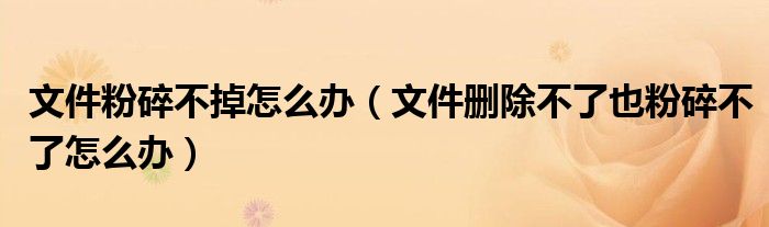 文件粉碎不掉怎么办（文件删除不了也粉碎不了怎么办）