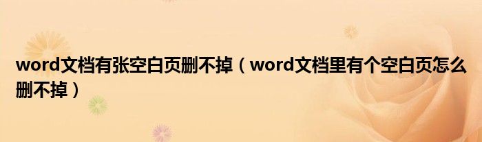 word文档有张空白页删不掉（word文档里有个空白页怎么删不掉）