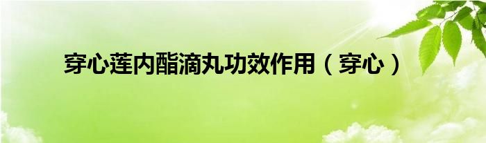 穿心莲内酯滴丸功效作用（穿心）