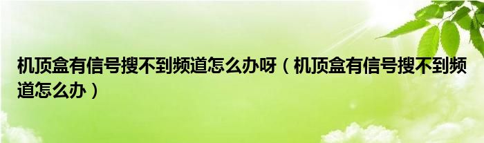 机顶盒有信号搜不到频道怎么办呀（机顶盒有信号搜不到频道怎么办）